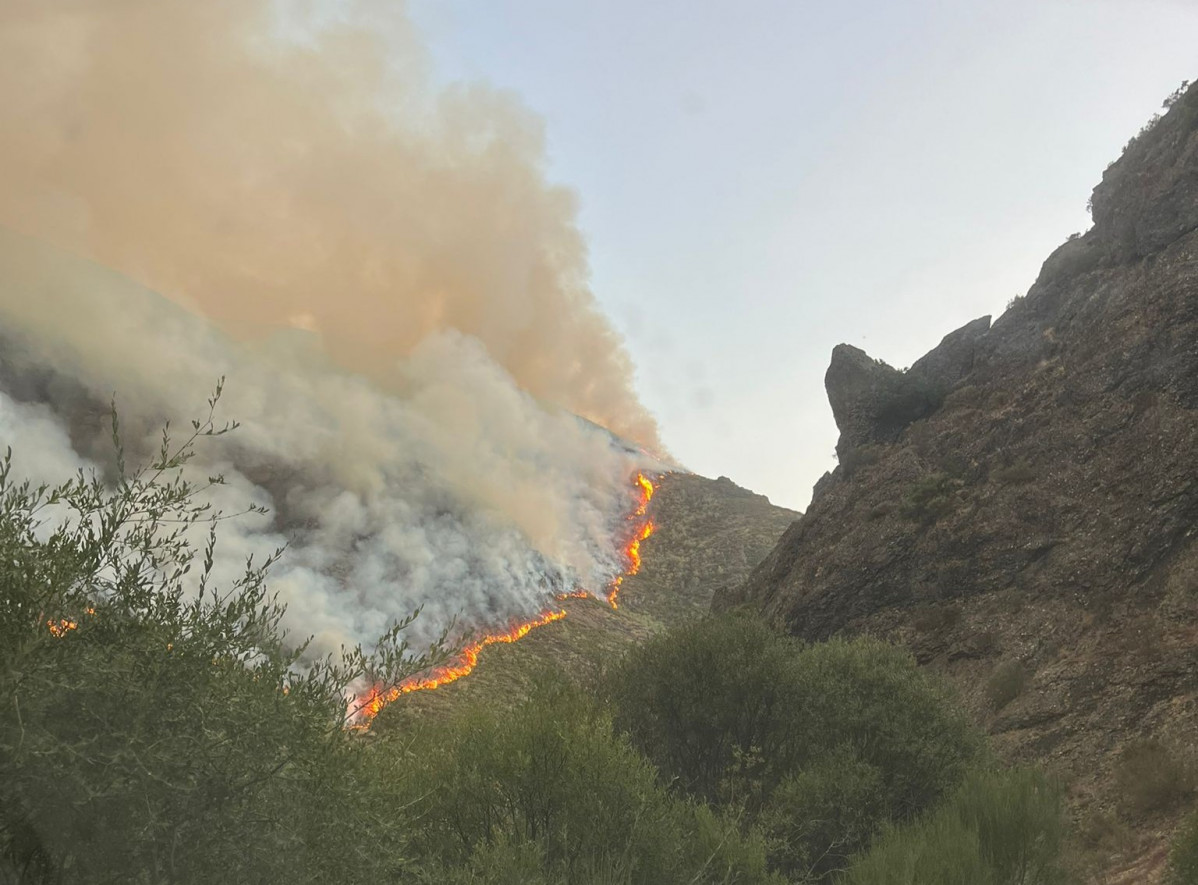 Incendio barniedo 2025 (2)