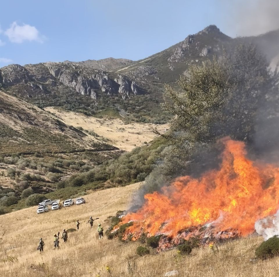 Incendio la uu00f1a INFOAR (2)