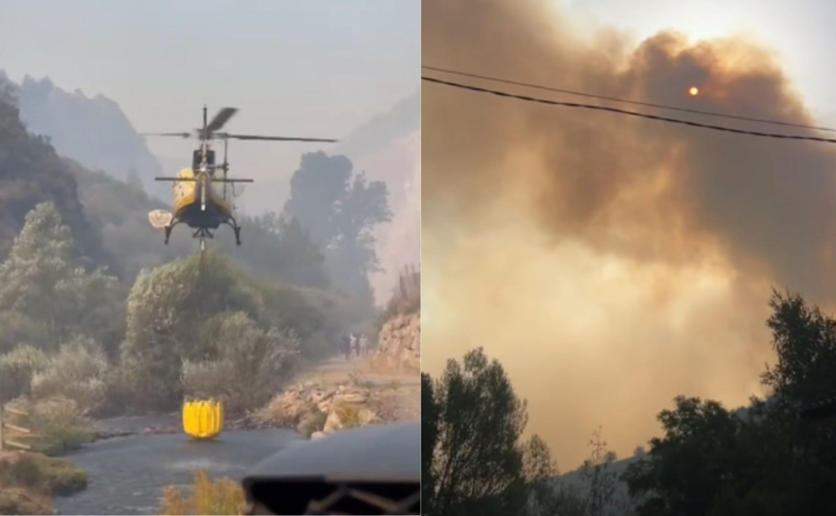 Incendio tierra de la reina 2025 en casasuertes