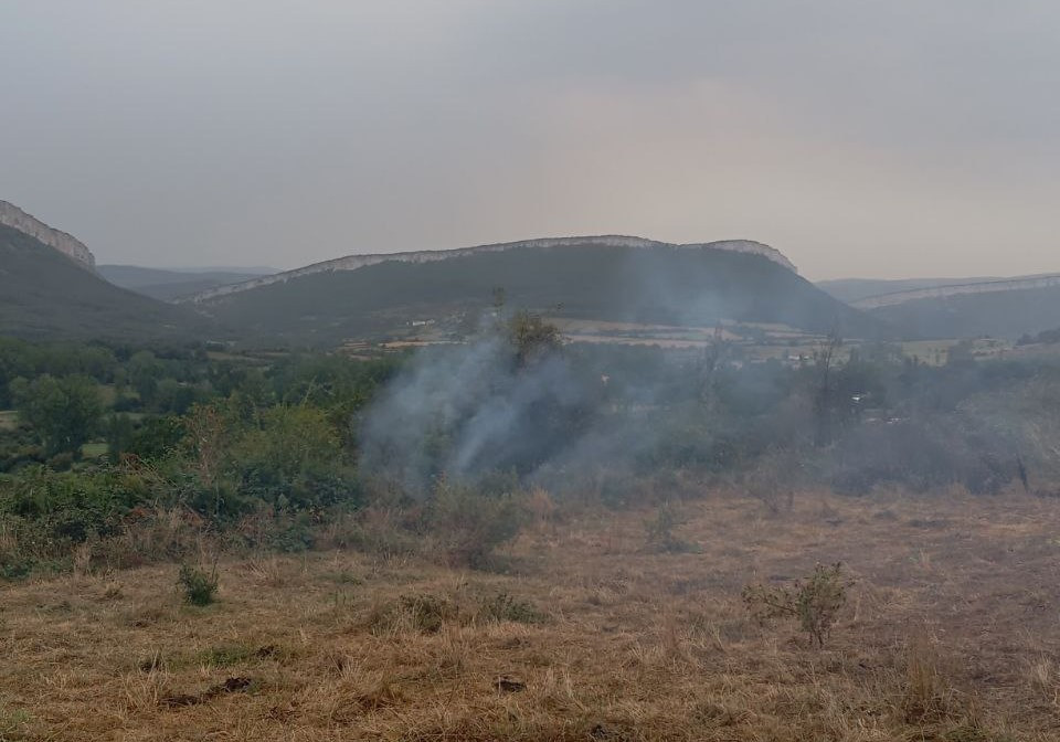 Incendio Resoba Naturaleza cyl