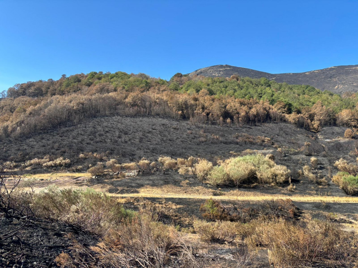 Valdeón incendio jose enrique 25