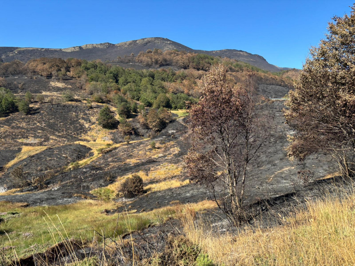Valdeón incendio jose enrique 20