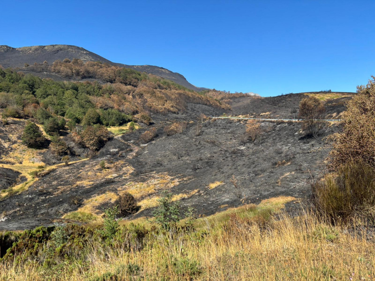Valdeón incendio jose enrique 19