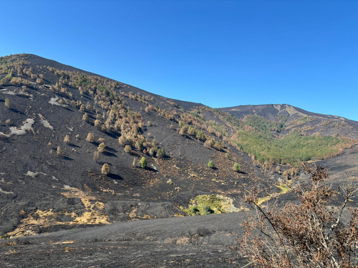 Valdeón incendio jose enrique 18