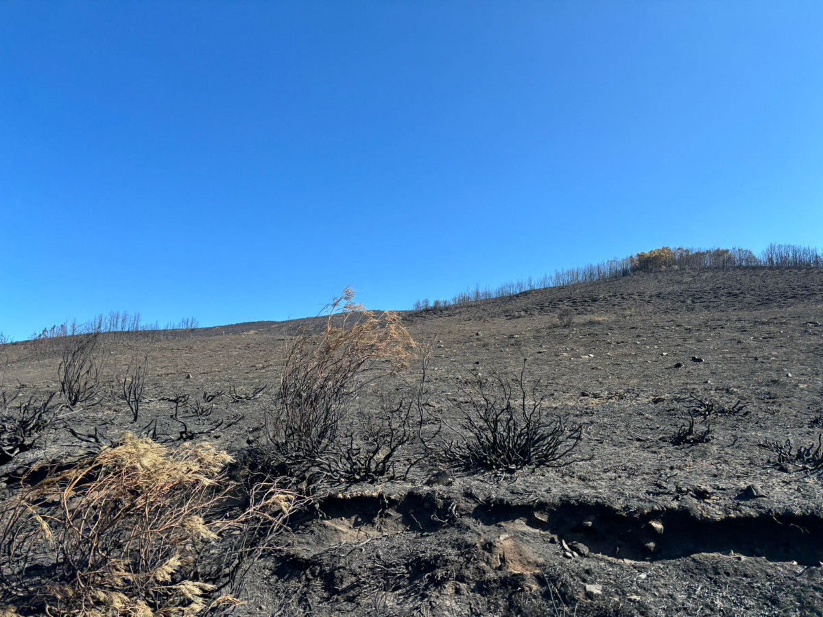 Valdeón incendio jose enrique 14