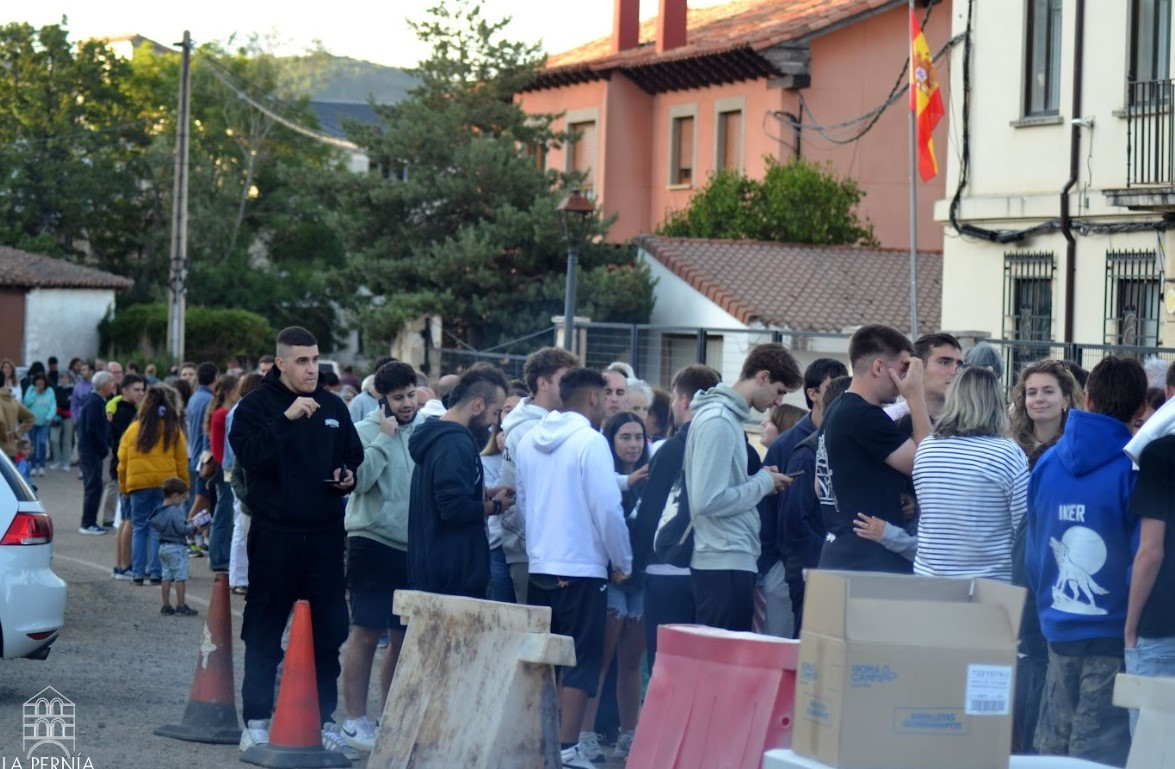 Feria san bernardo 2025 la pernia 5