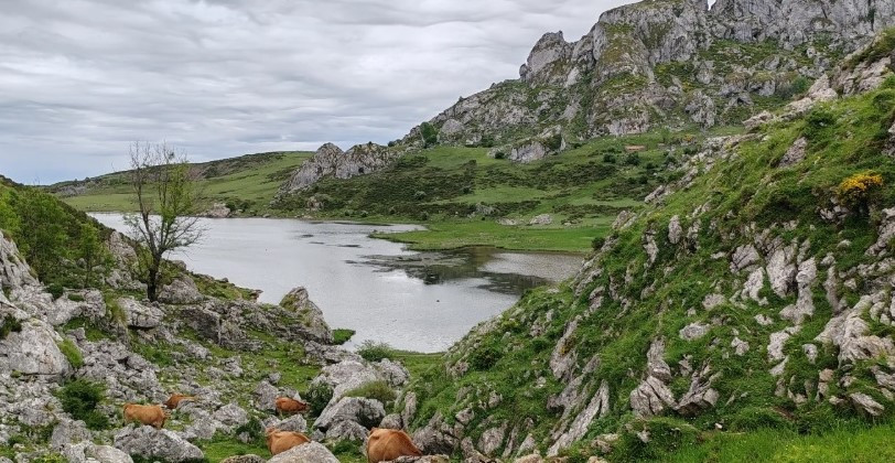 Lago de la ercina picos