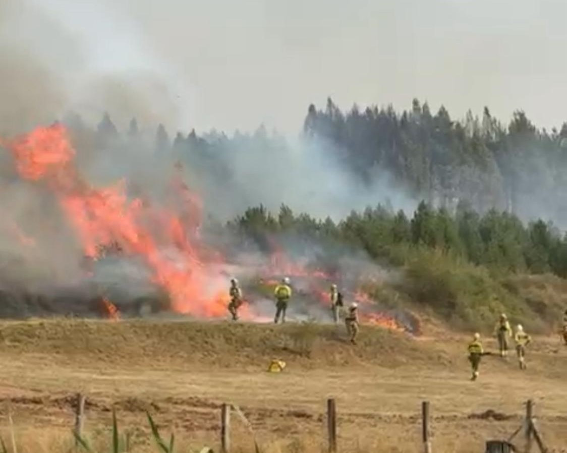 Incendio canalejas sara 2