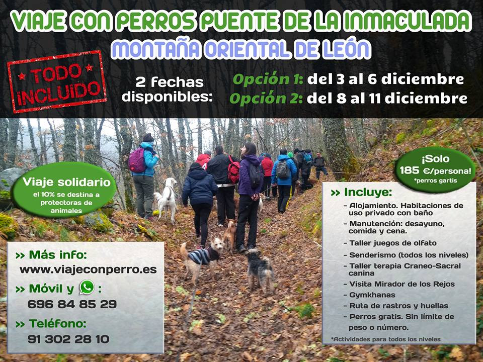 Perromontaaleonesa