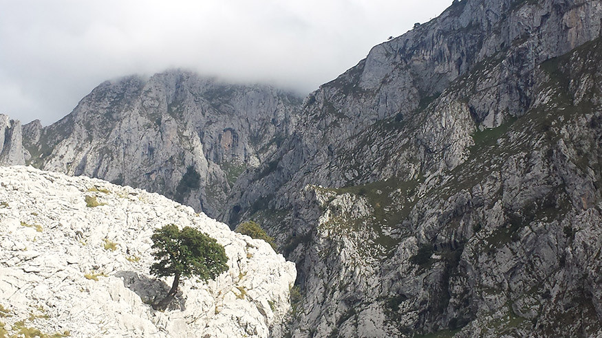 Picosdeeuropamontes 2